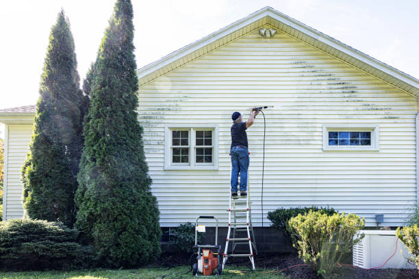 Best Local Pressure Washing Services  in Elm Springs, AR