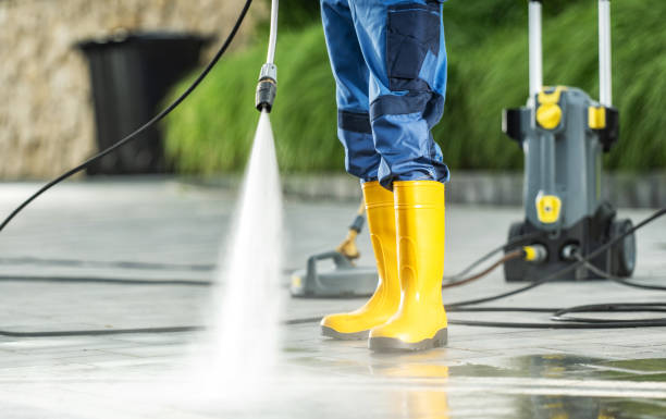 Best Affordable Pressure Washing  in Elm Springs, AR
