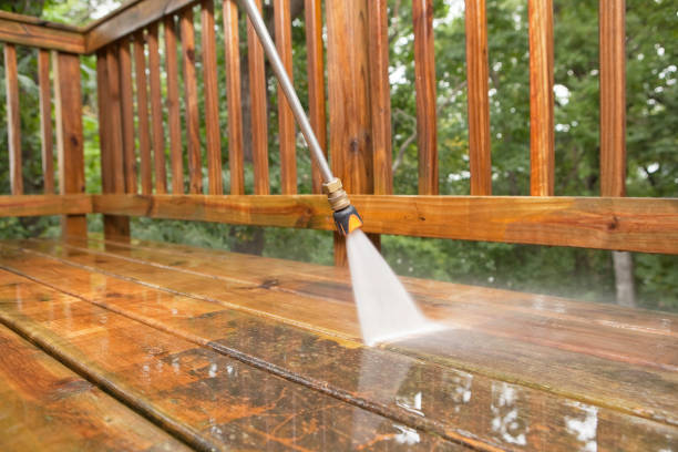 Best Affordable Power Washing  in Elm Springs, AR
