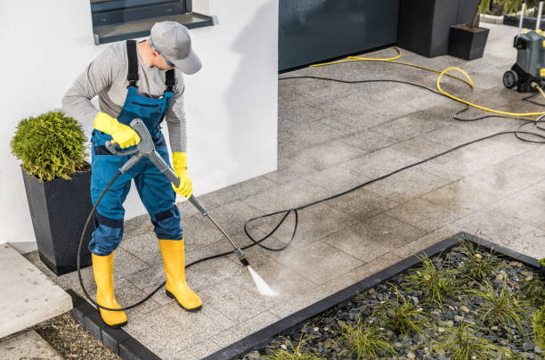 Best House Pressure Washing  in Elm Springs, AR