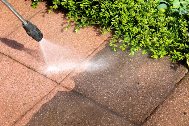 Best Power Washing Near Me  in Elm Springs, AR